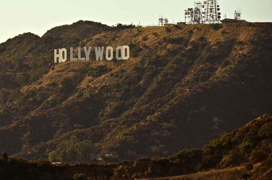 7 star di Hollywood con il fiuto per gli affari