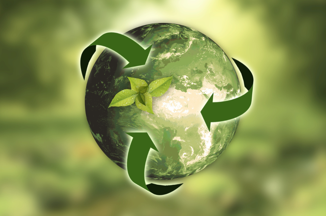 5 aziende italiane che applicano il "Green Business"