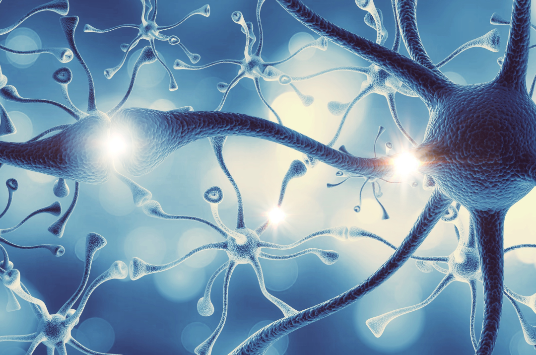 Neuralink raccoglie 280 milioni di dollari per i suoi impianti cerebrali
